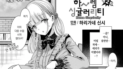 하렘 싱귤러리티 2